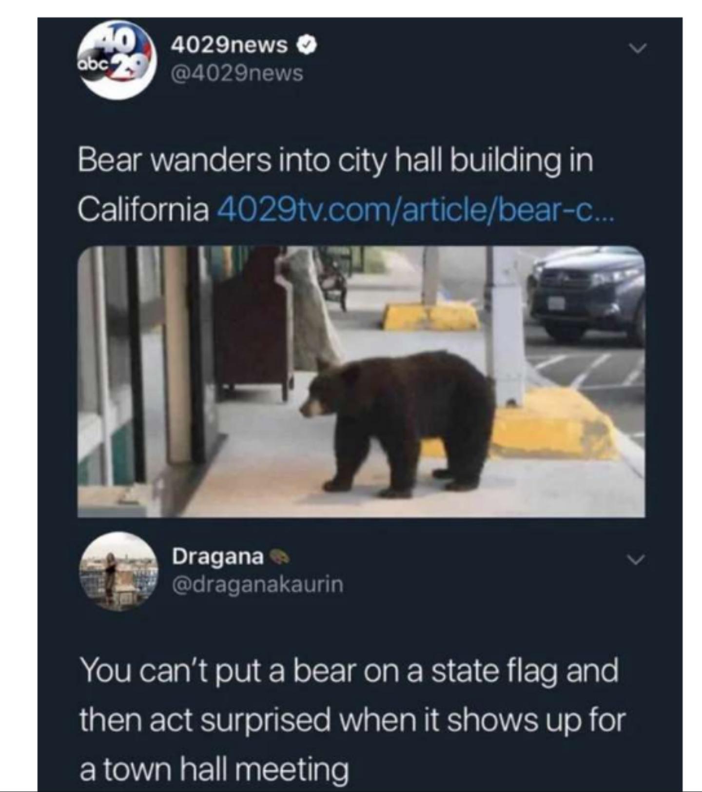 A TN Bear wanders into city hall building in California 4029tvcomarticlebear c T EE Gl ERELET You cant put a bear on a state flag and LTl T g0 g o Yo AWV o T NI S a 0 VAR W o B 0 a town hall meeting