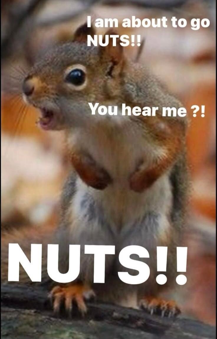 I am about to go NUTS!! You hear me ?! NUTS!!