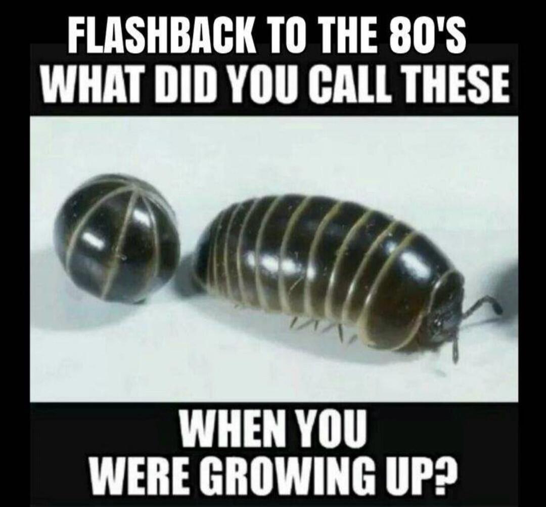 FLASHBACK TO THE 80'S WHAT DID YOU CALL THESE WHEN YOU WERE GROWING UP?