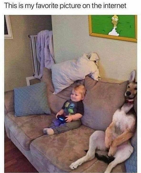 This is my favorite picture on the internet