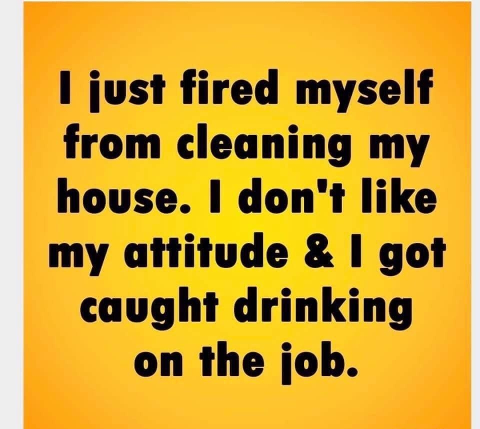 just fired myself from cleaning my house dont like my attitude got caught drinking on the job