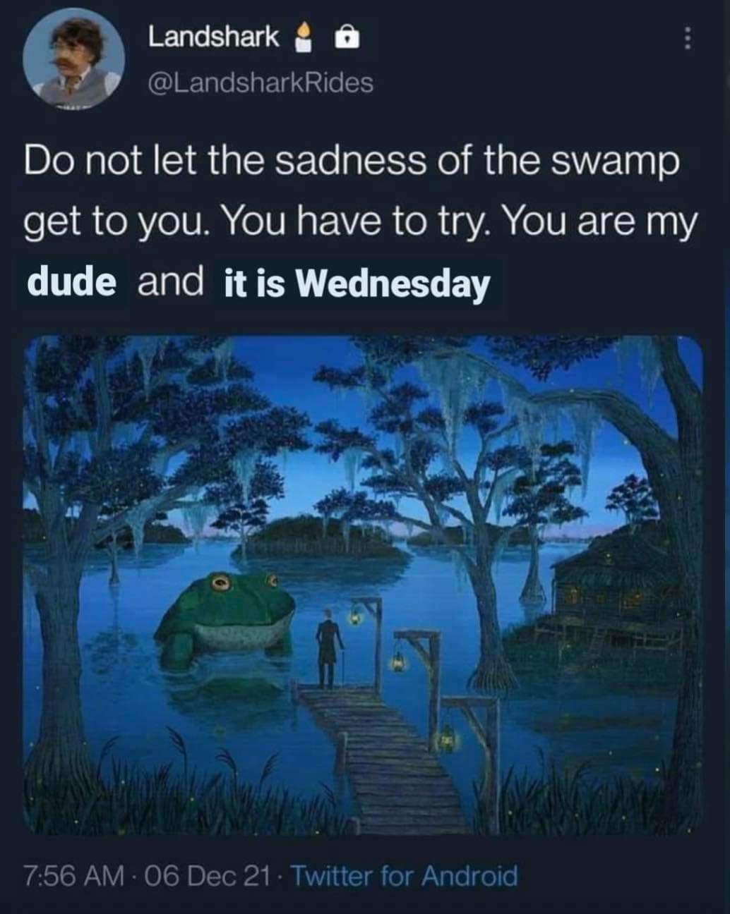 Landshark GIETGEGEIRATGER Do not let the sadness of the swamp eS R R VeIV eIVN s R R A N ETN111 dude and itis Wednesday 756 AM 06 Dec 21 Twitter for Android