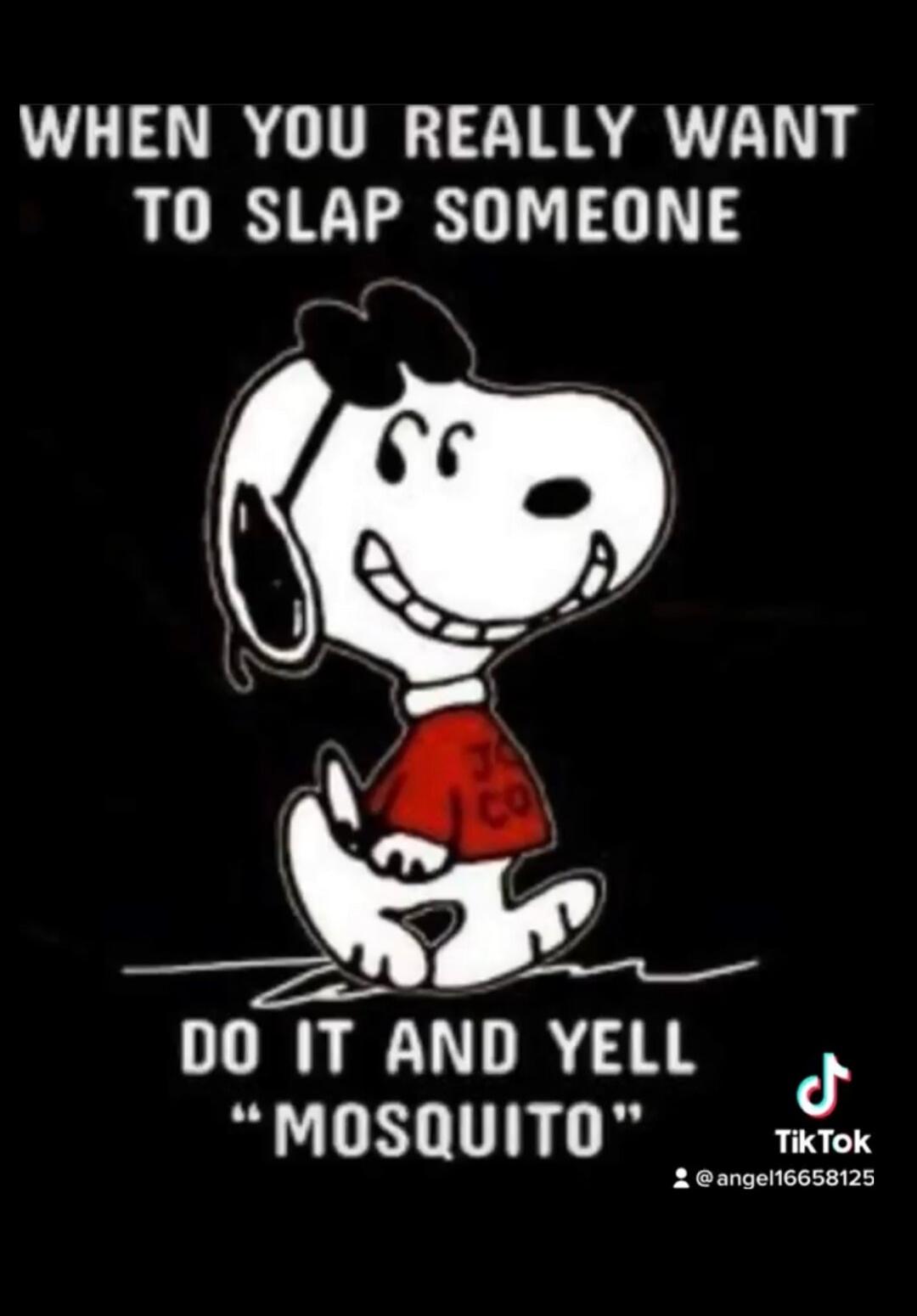 WHEN YOU REALLY WANT TO SLAP SOMEONE DO IT AND YELL 