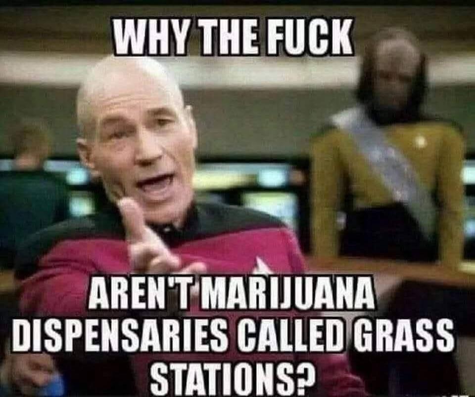 WHY THE FUCK AREN'T MARIJUANA DISPENSARIES CALLED GRASS STATIONS?