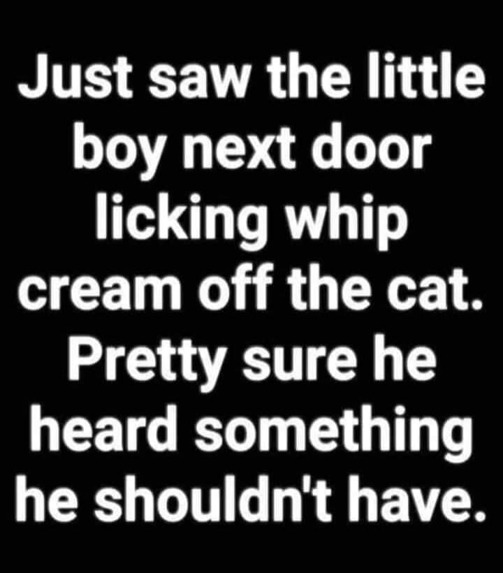 Just saw the little boy next door licking whip cream off the cat. Pretty sure he heard something he shouldn't have.