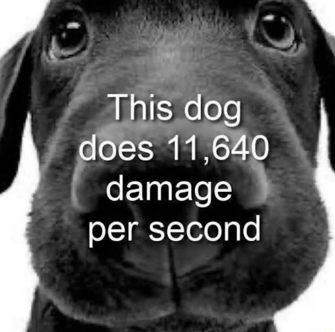 f 231 _This dog das 11640 damage l gTTete o