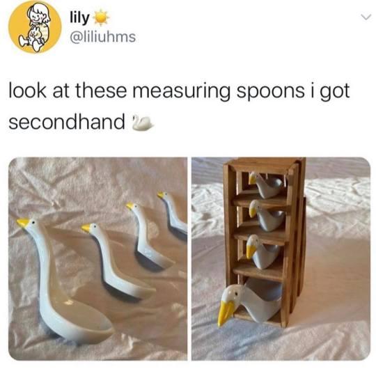 B lily liliuhms look at these measuring spoons i got secondhand