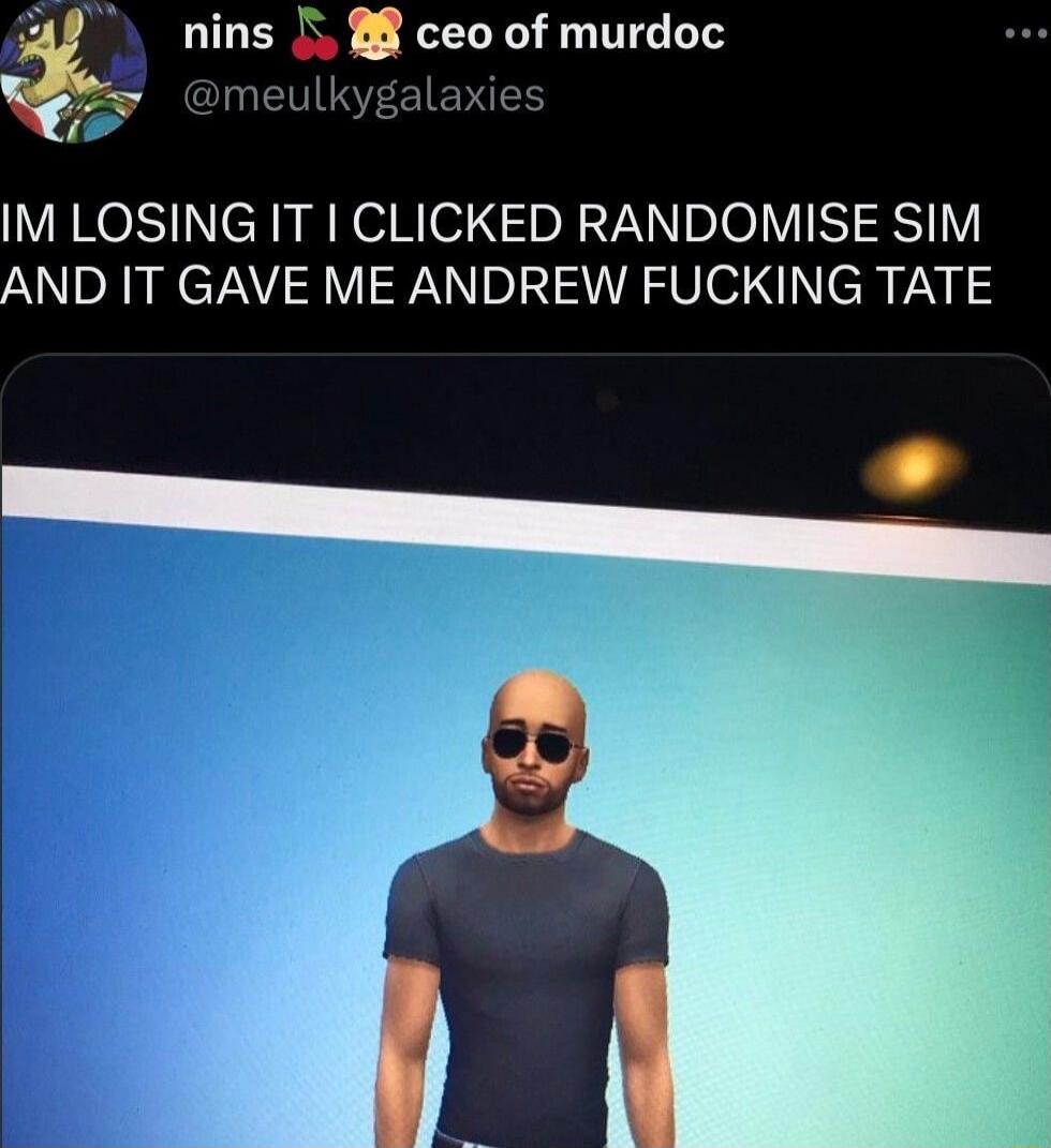 nins 88 ceo of murdoc s ISR ENES IM LOSING IT CLICKED RANDOMISE SIM AND IT GAVE ME ANDREW FUCKING TATE