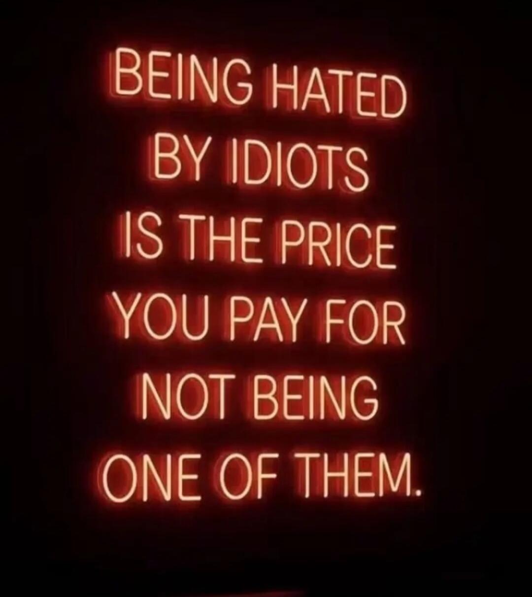 BEING HATED BY IDIOTS IS THE PRICE YOU PAY FOR NOT BEING ONE OF THEM.