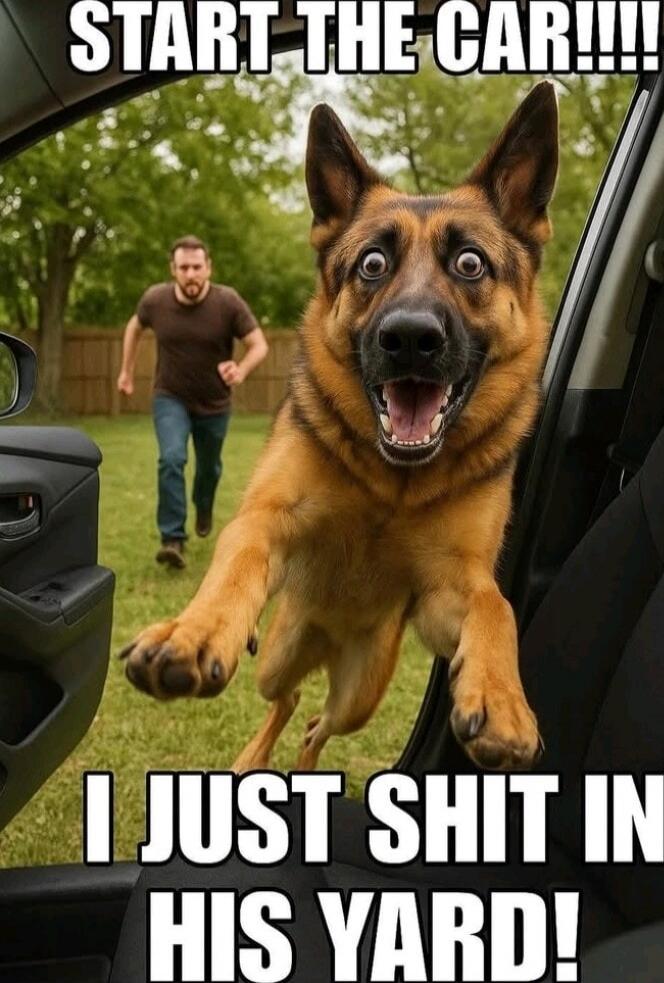 START THE CAR!!!! I JUST SHIT IN HIS YARD!