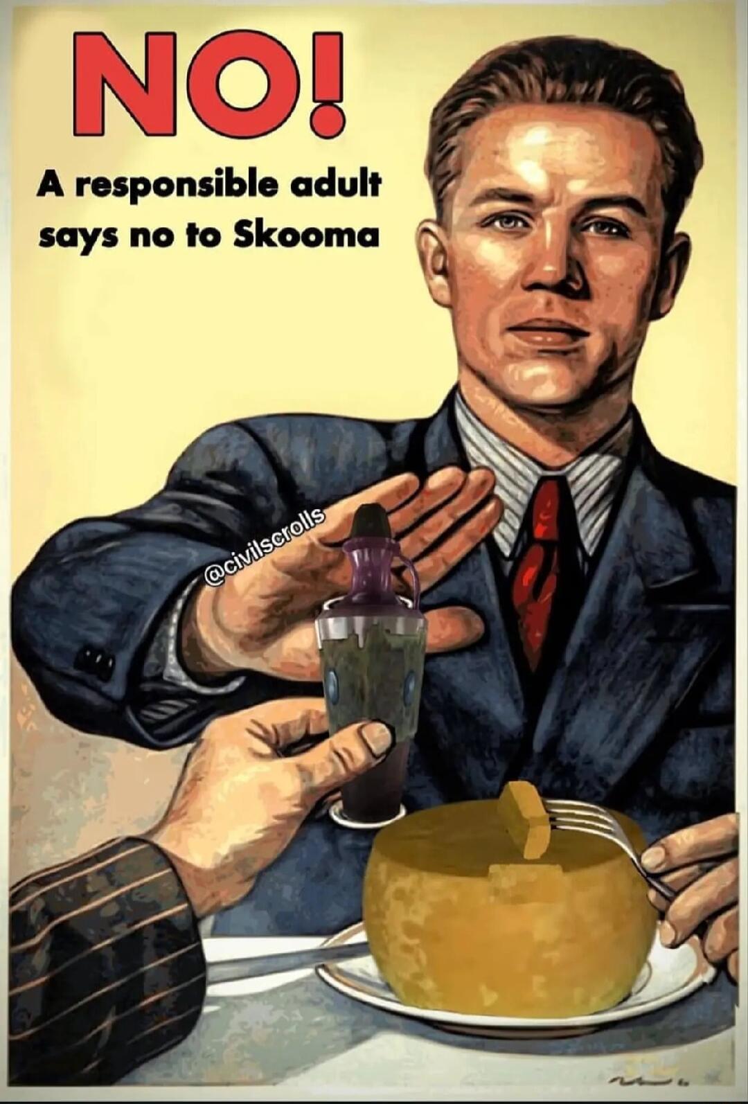 NO A responsible adult says no to Skooma