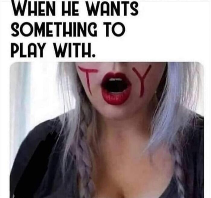 WHEN HE WANTS SOMETHING TO PLAY WITH. TOY