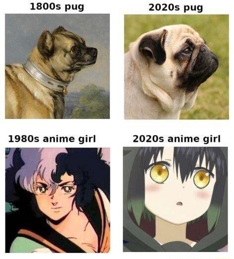 u 1800s pug 2020s pug