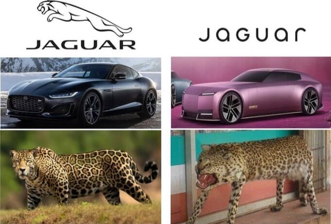 Jacuar