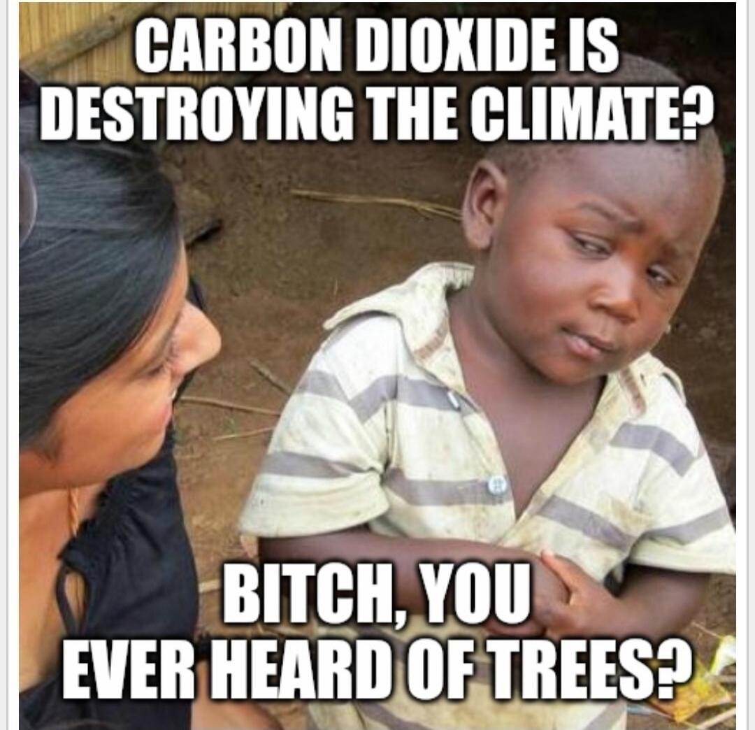 CARBON DIOXIDE IS DESTROYING THE CLIMATE? BITCH, YOU EVER HEARD OF TREES?
