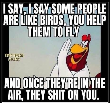 I say, I say some people are like birds, you help them to fly and once they're in the air, they shit on you.