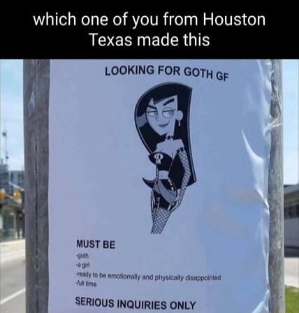 which one of you from Houston S ENINEGERGTS LOOKING FOR GOTH g MUST BE L Honally and physicady dsspgernied 3 SERIOUS INQUIRIES ONLY