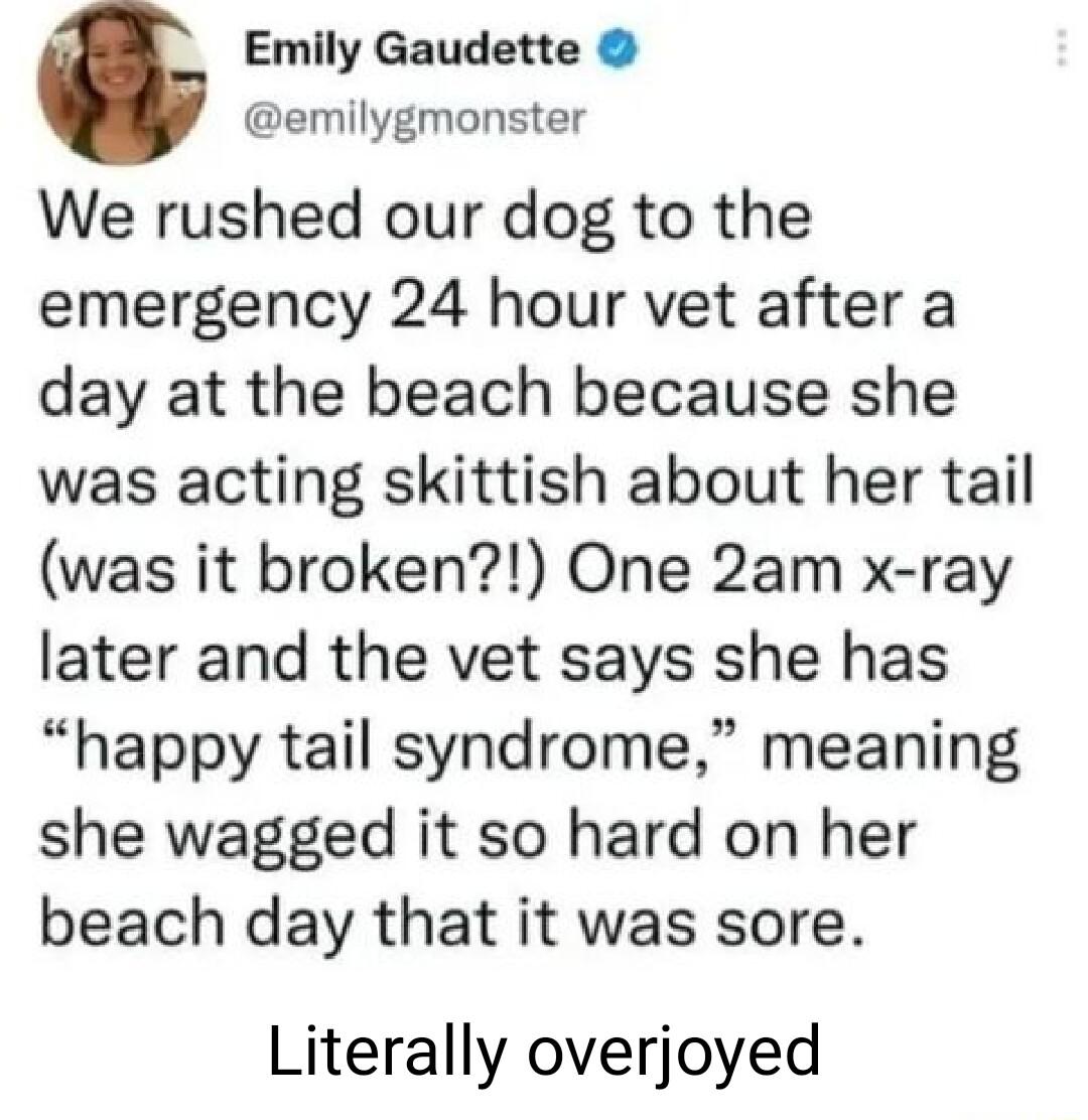 Emily Gaudette emilygmonster We rushed our dog to the emergency 24 hour vet after a day at the beach because she was acting skittish about her tail was it broken One 2am x ray later and the vet says she has happy tail syndrome meaning she wagged it so hard on her beach day that it was sore Literally overjoyed