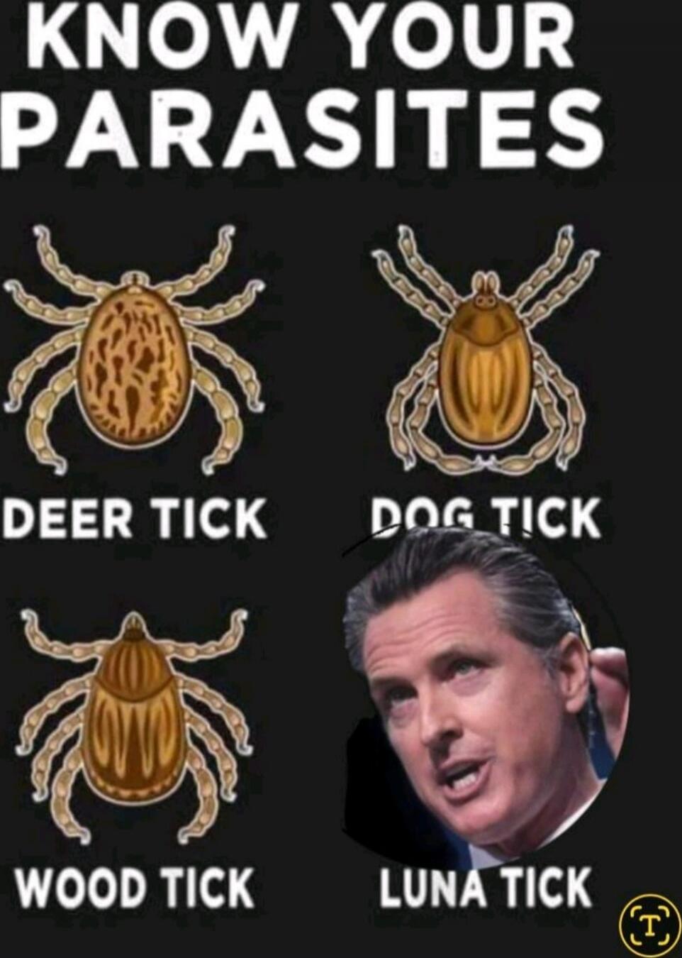 KNOW YOUR PARASITES
DEER TICK
DOG TICK
WOOD TICK
LUNA TICK