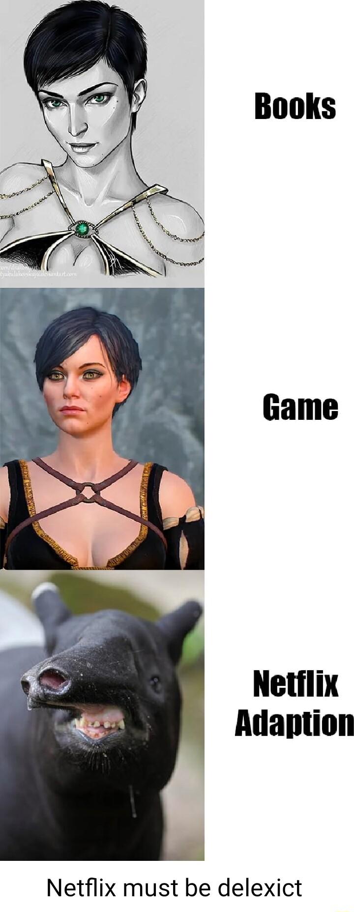 Netflix Adaption Netflix must be delexict