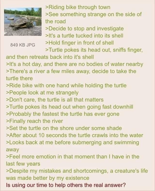 090422Sun200255 No70088283 Riding bike through town See something strange on the side of the road Decide to stop and investigate Its a turtle tucked into ts shell ssokapg Hold finger in front of shell Turtle pokes its head out sniffs finger and then retreats back into its shell Its a hot day and there are no bodies of water nearby Theres a river a few miles away decide to take the turtle there Rid