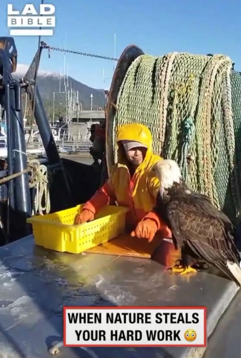 LAD BIBLE
WHEN NATURE STEALS YOUR HARD WORK