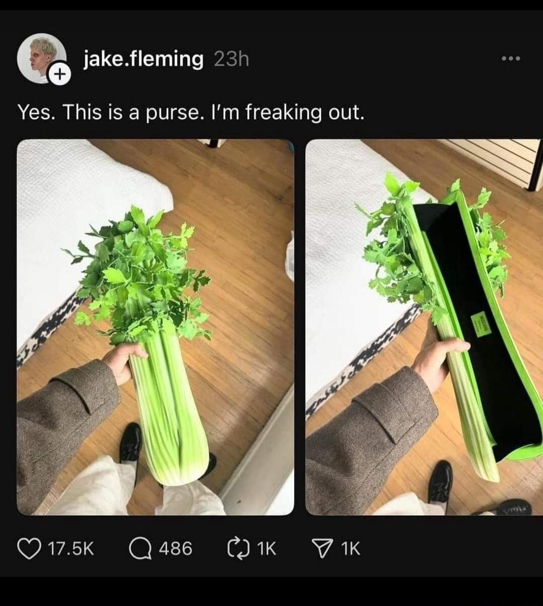 Yes. This is a purse. I’m freaking out.