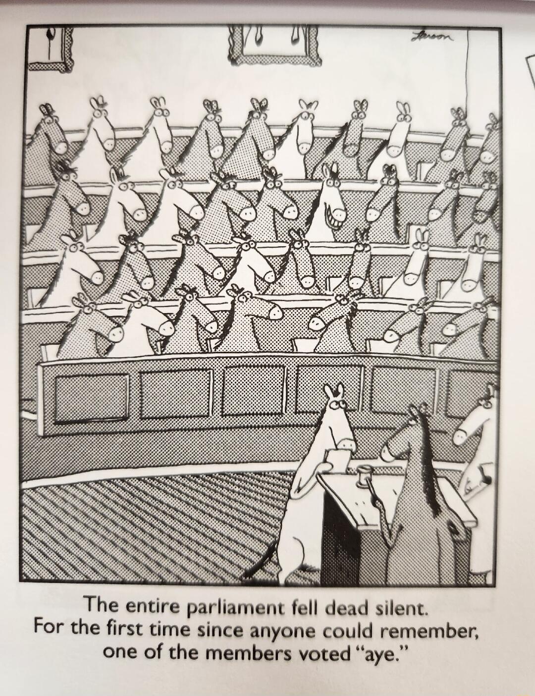 The entire parliament fell dead silent For the first time since anyone could remember one of the members voted aye