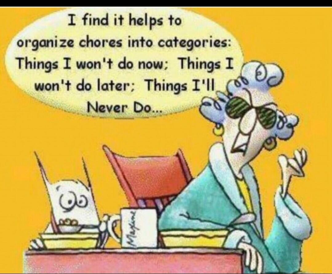 I find it helps to organize chores into categories: Things I won't do now; Things I won't do later; Things I'll Never Do...