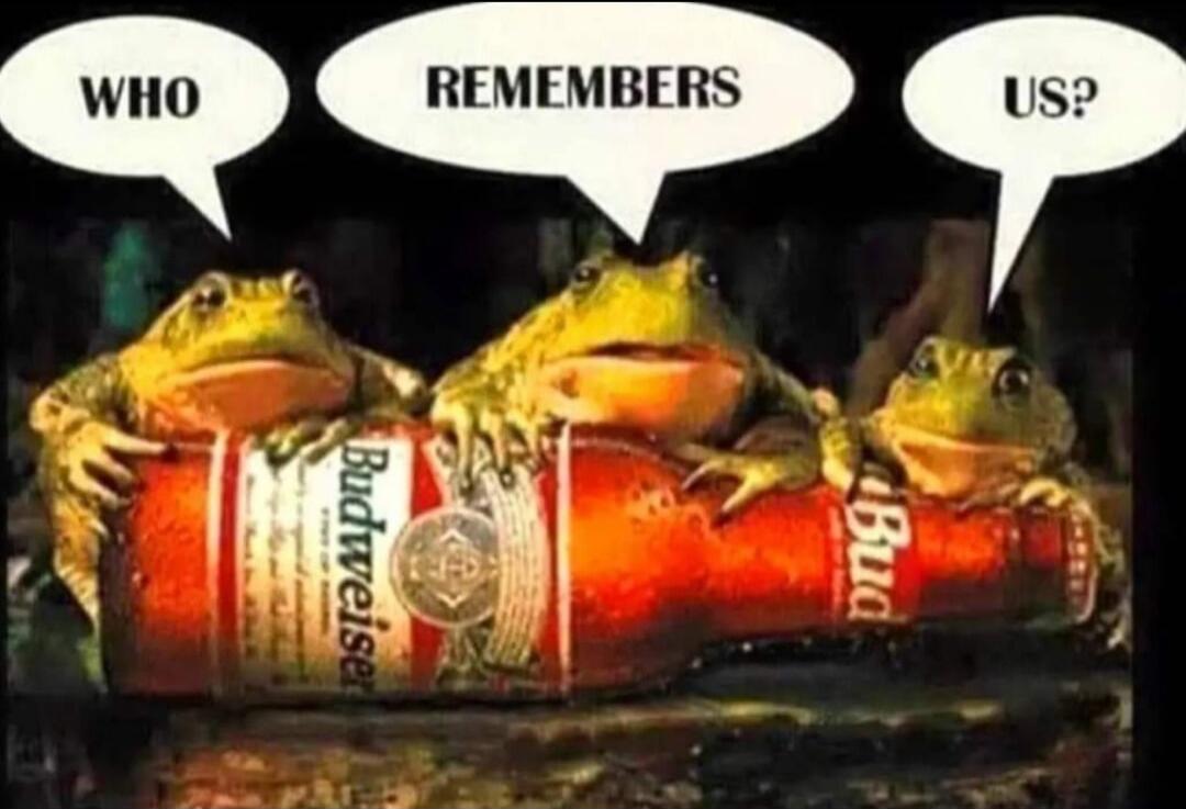 WHO REMEMBERS US? Budweiser Bud