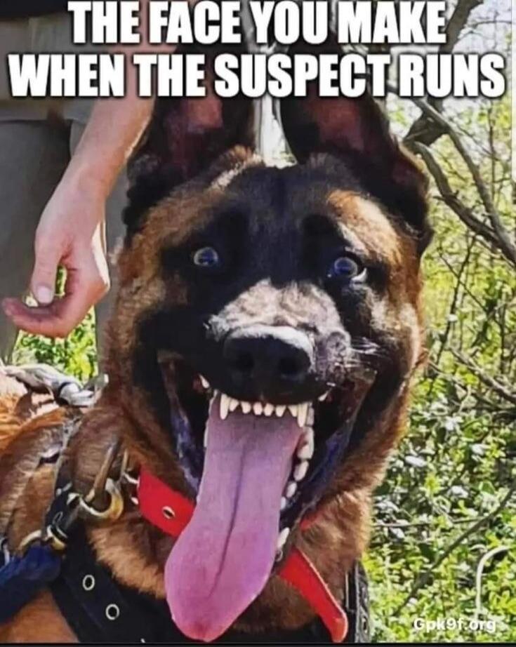 THE FACE YOU MAKE WHEN THE SUSPECT RUNS