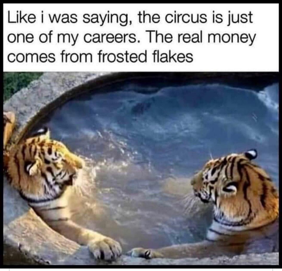 Like i was saying the circus is just one of my careers The real money comes from frosted flakes