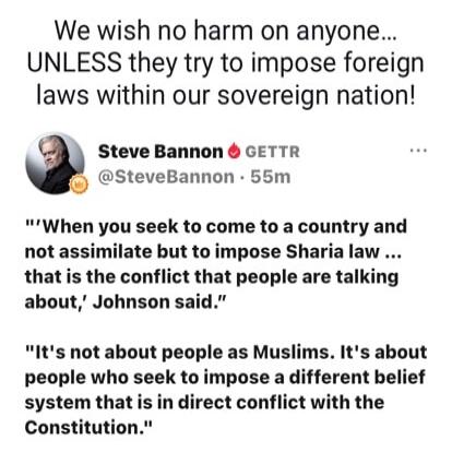 We wish no harm on anyone... UNLESS they try to impose foreign laws within our sovereign nation! Steve Bannon GETTR @SteveBannon 55m 