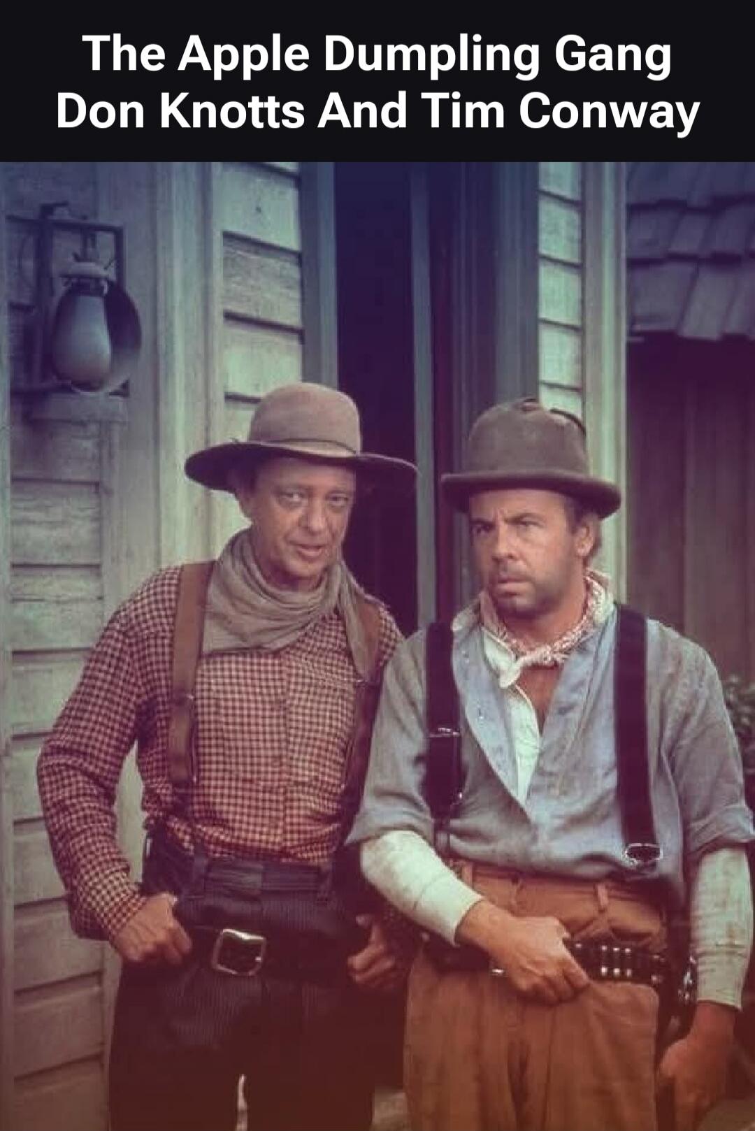 The Apple Dumpling Gang Don Knotts And Tim Conway