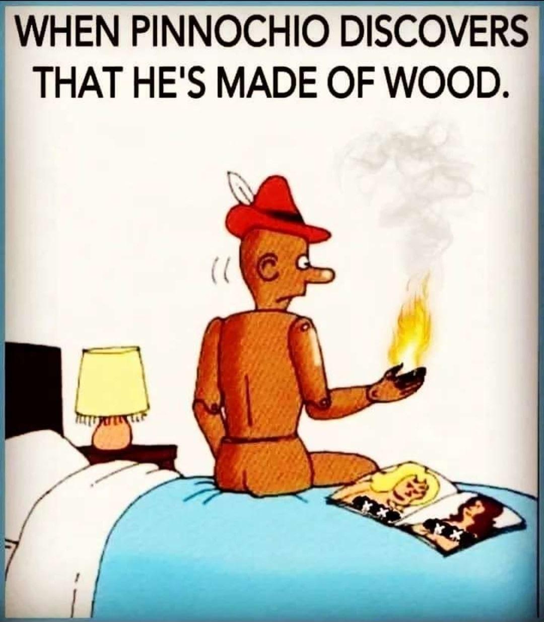 WHEN PINNOCHIO DISCOVERS THAT HES MADE OF WOOD