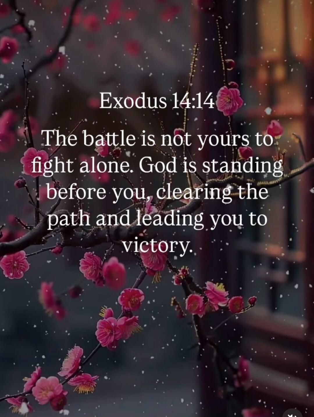 Exodus 14:14 The battle is not yours to fight alone. God is standing before you, clearing the path and leading you to victory.