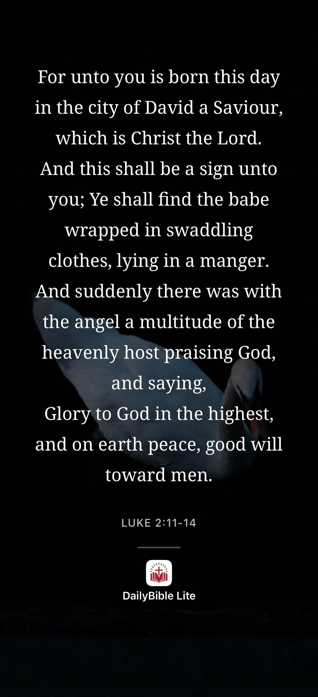 For unto you is born this day in the city of David a Saviour, which is Christ the Lord. And this shall be a sign unto you; Ye shall find the babe wrapped in swaddling clothes, lying in a manger. And suddenly there was with the angel a multitude of the heavenly host praising God, and saying, Glory to God in the highest, and on earth peace, good will