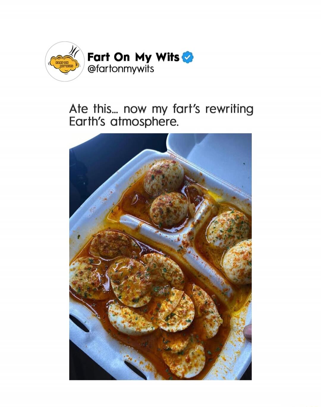 Fart On My Wits @fartonmywits Ate this... now my fart's rewriting Earth's atmosphere.