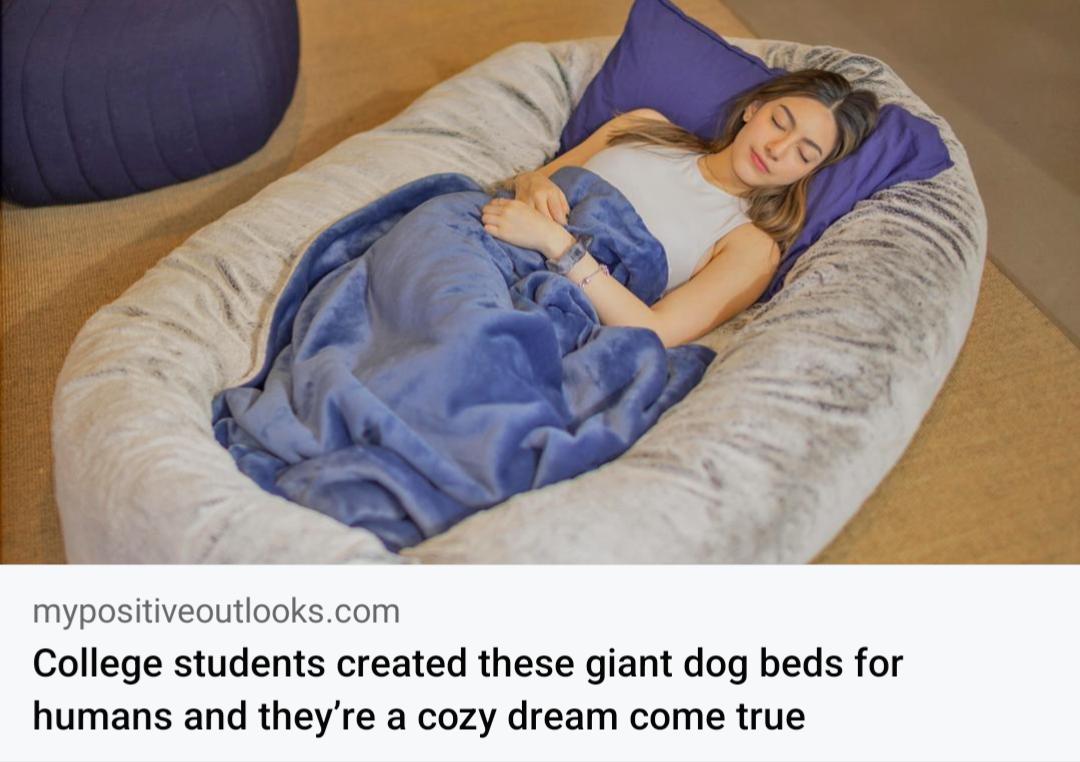 mypositiveoutiookscom College students created these giant dog beds for humans and theyre a cozy dream come true