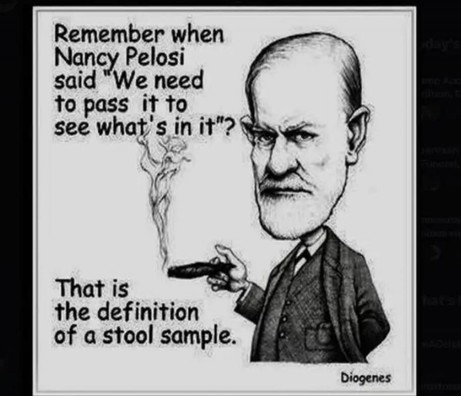 Remember when Nancy Pelosi said 'We need to pass it to see what's in it'? That is the definition of a stool sample.
