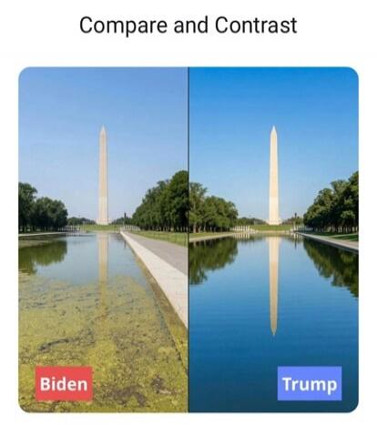 Compare and Contrast Biden Trump