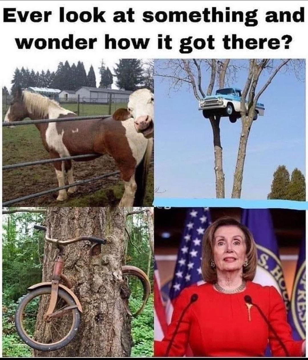 Ever look at something and wonder how t got there
