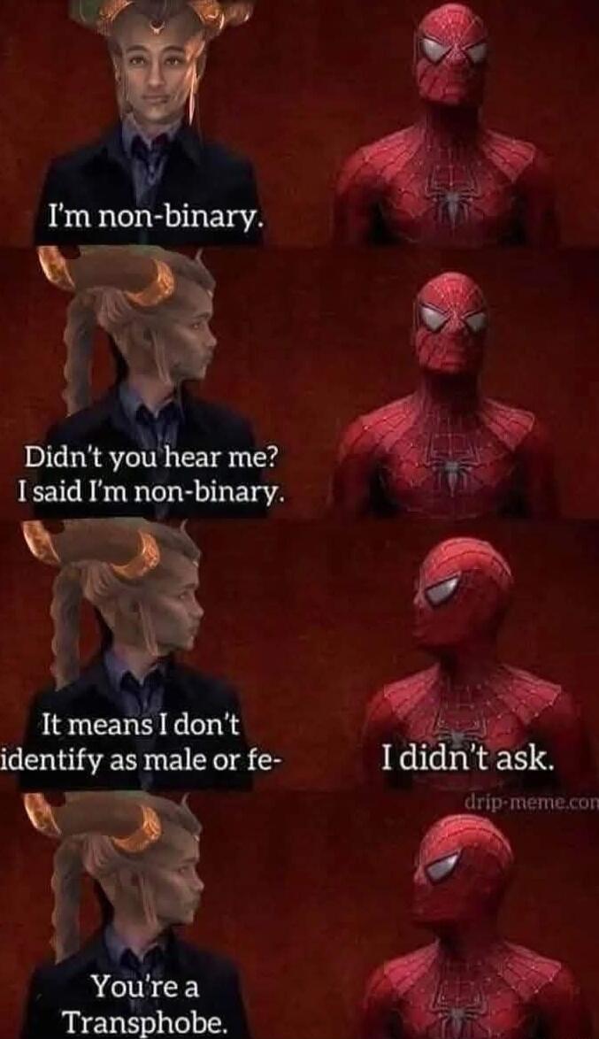 wwv 8 il Im non binary 2 L Didnt vuxmear me 43 I said Im non binary L L Jtmeatsl dont 4 identify as male or fe Ididnt ask drip memecor