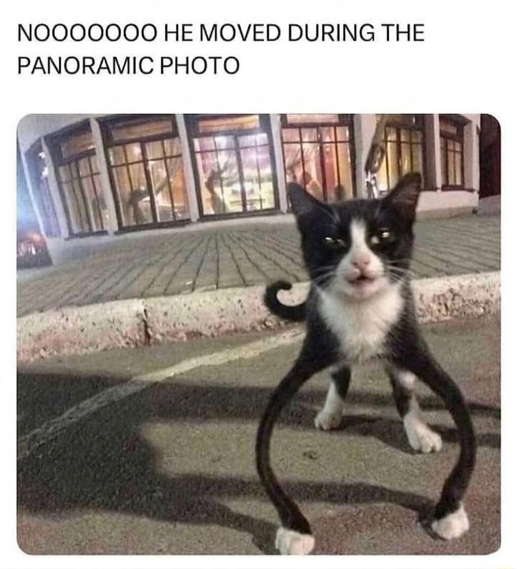 NOOOOOOOO HE MOVED DURING THE PANORAMIC PHOTO