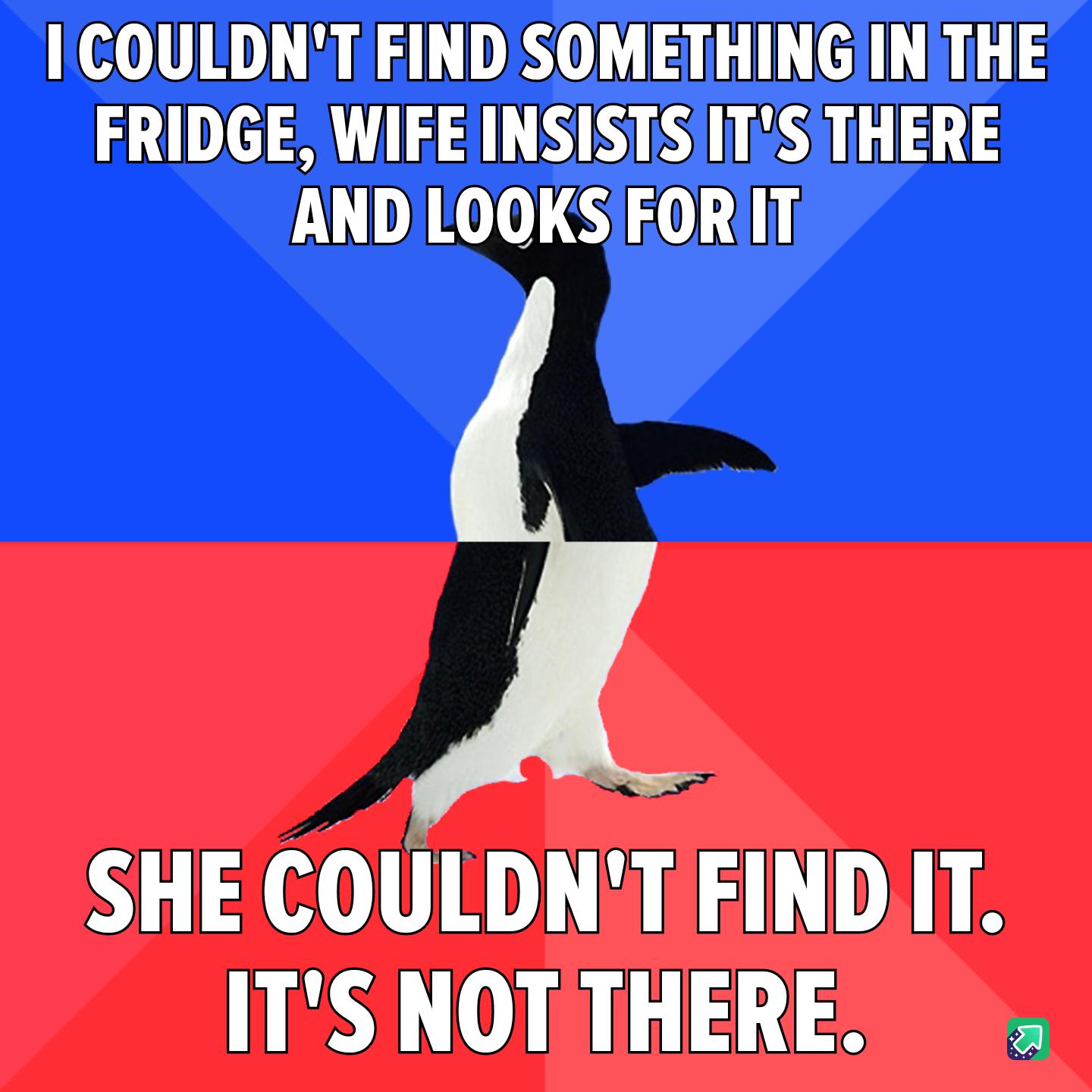 ICOULDNT FINDSOMETHINGIINTHE FRIDGE WIEE INSISTSIITS THERE ANDLOOKSEORIT SHE COULDNTFINDIT ITS NOTTHERE