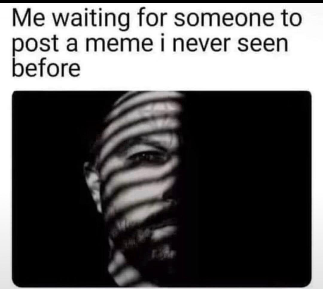Me waiting for someone to post a meme i never seen before
