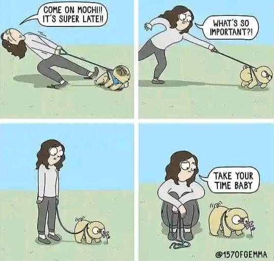 TAKE YOUR THE BABY 1570FGEMMA