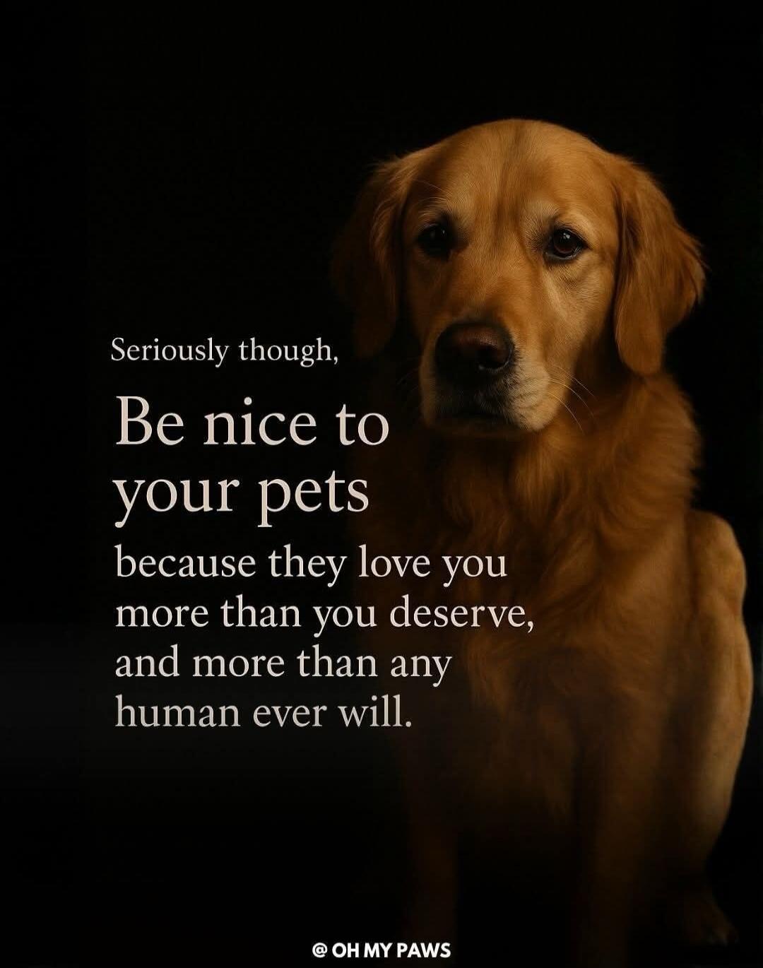 Seriously though, Be nice to your pets because they love you more than you deserve, and more than any human ever will. @ OH MY PAWS