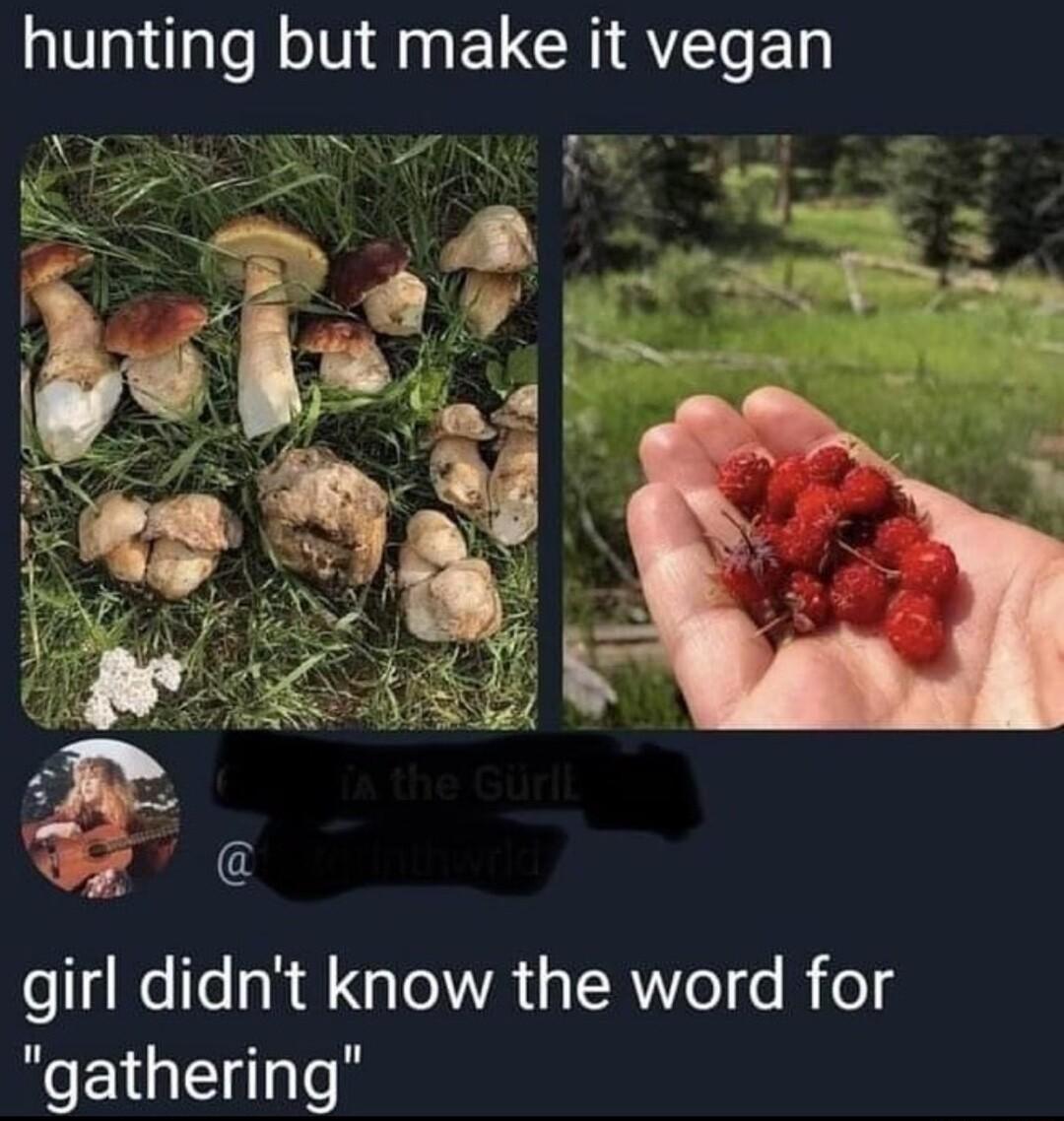 hunting but make it vegan girl didnt know the word for gathering