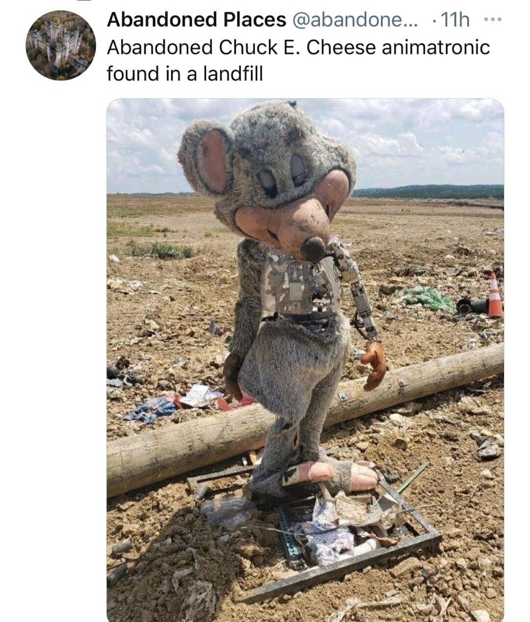 Abandoned Places abandone 11h Abandoned Chuck E Cheese animatronic found in a landfill
